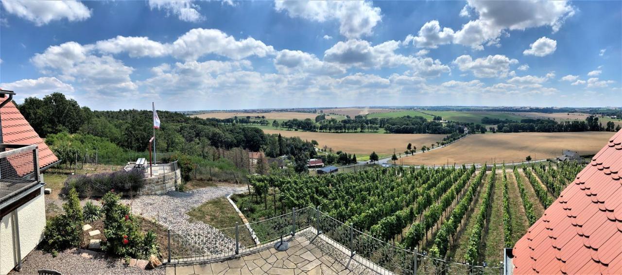 Pension Bella Vista - Winzerhof Golk Meißen Kültér fotó